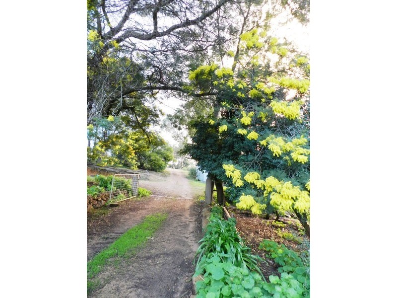 3/1 Graphite Road, Nannup WA 6275