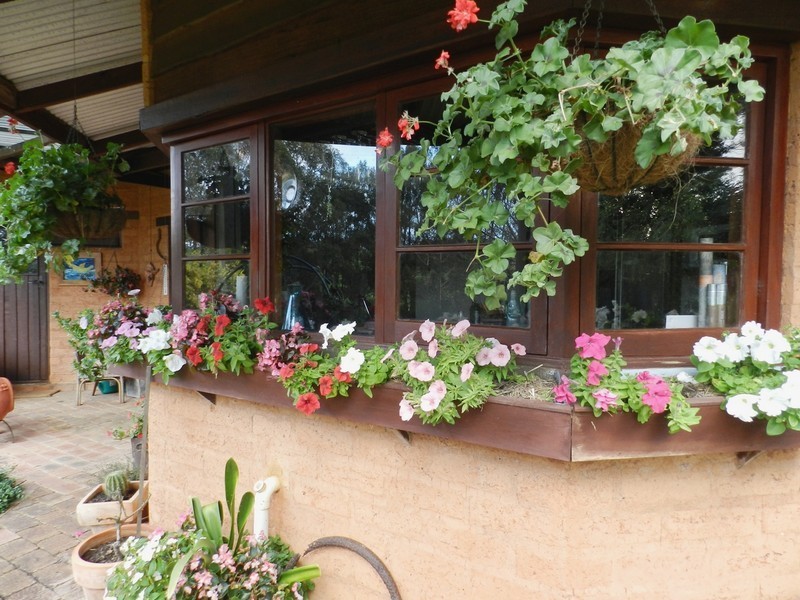 3/1 Graphite Road, Nannup WA 6275