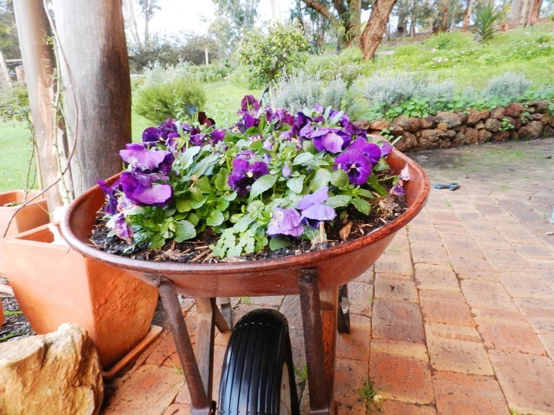 3/1 Graphite Road, Nannup WA 6275