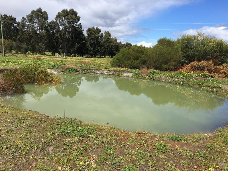 3 Johnston Road, Nannup WA 6275