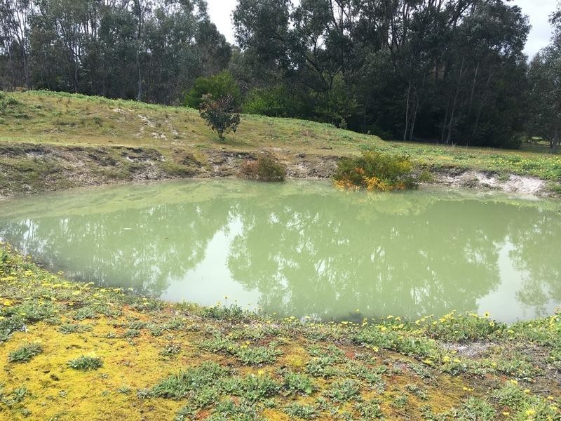 3 Johnston Road, Nannup WA 6275