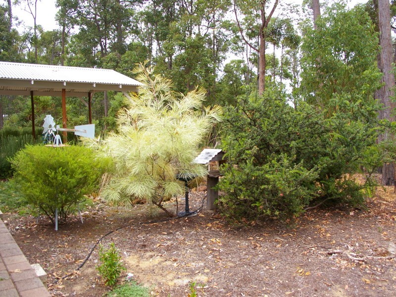 50 Leschenaultia Drive, Nannup WA 6275