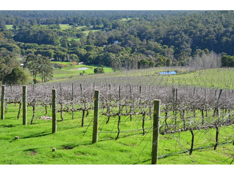 159 & 1915 Vasse Highway, Pemberton WA 6260