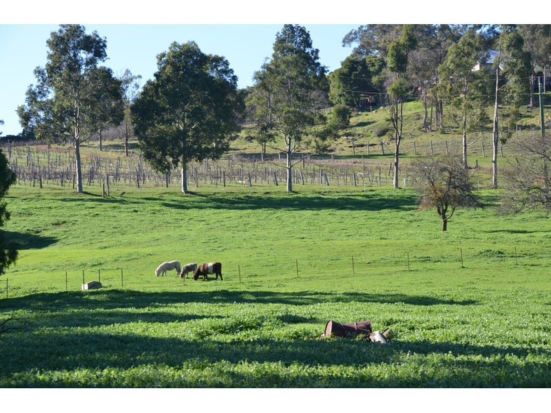 159 & 1915 Vasse Highway, Pemberton WA 6260