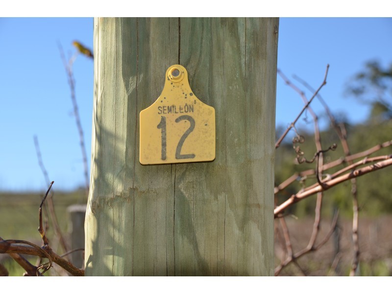 159 & 1915 Vasse Highway, Pemberton WA 6260