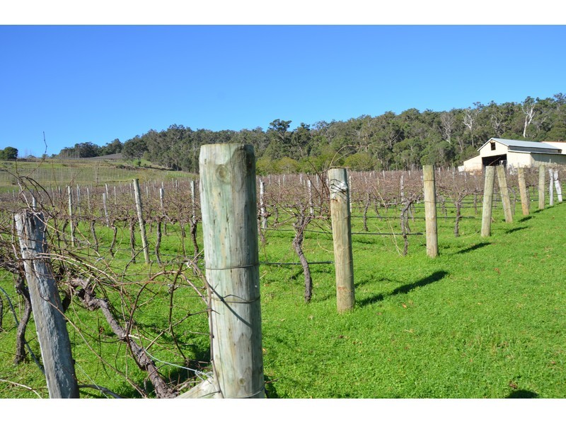 159 & 1915 Vasse Highway, Pemberton WA 6260