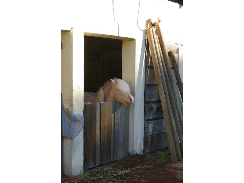 159 & 1915 Vasse Highway, Pemberton WA 6260