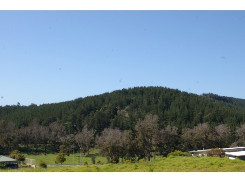 24 Hitchcock Drive, Nannup WA 6275