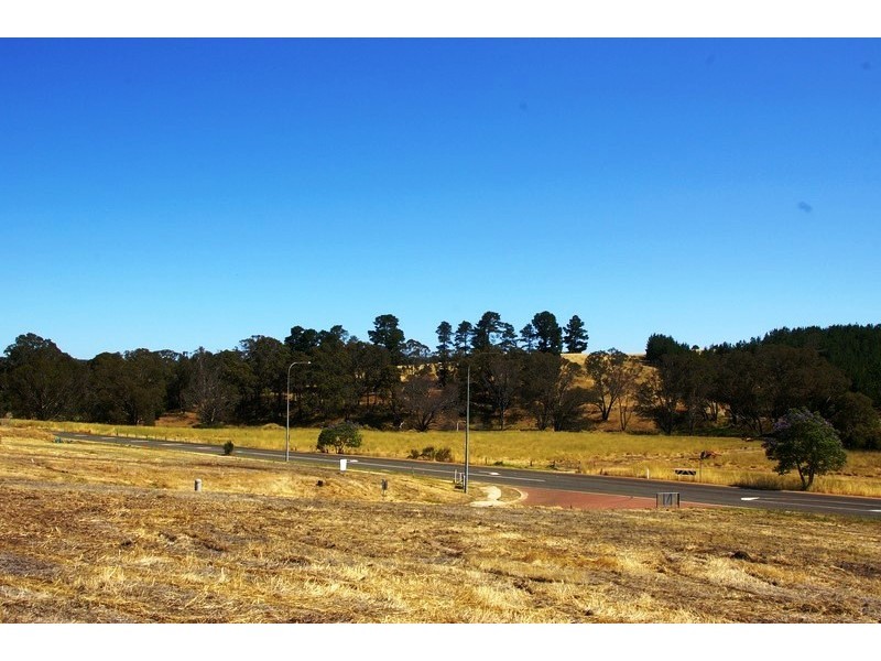 3 Hitchcock Drive, Nannup WA 6275