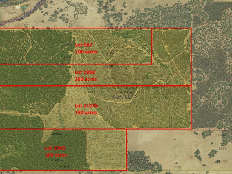 987, 1958, 11276, 13 Brockman Highway, Bridgetown WA 6255