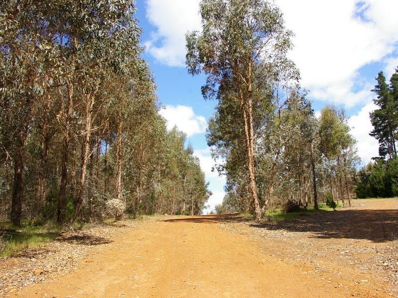 987, 1958, 11276, 13 Brockman Highway, Bridgetown WA 6255