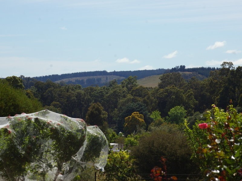 2 Griffiths Road, Nannup WA 6275