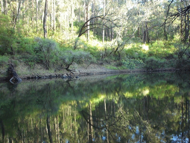 8536 Brockman Highway, Nannup WA 6275