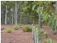 30 Valley Way, Nannup WA 6275