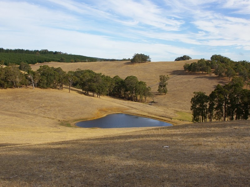 22 Dunnet Road, Nannup WA 6275
