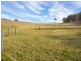 22 Dunnet Road, Nannup WA 6275