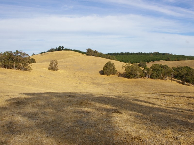 22 Dunnet Road, Nannup WA 6275