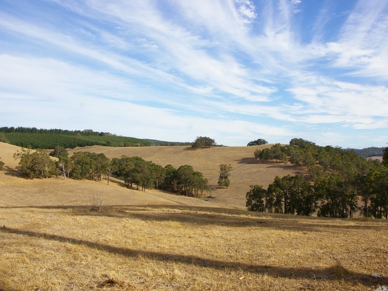 22 Dunnet Road, Nannup WA 6275
