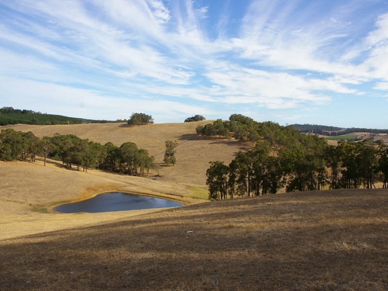 22 Dunnet Road, Nannup WA 6275