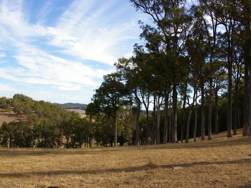 22 Dunnet Road, Nannup WA 6275