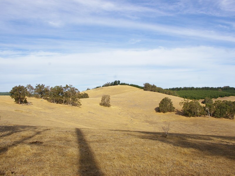22 Dunnet Road, Nannup WA 6275