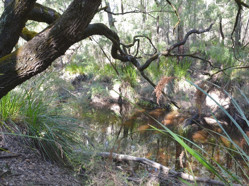 88 Vasse Highway, Nannup WA 6275