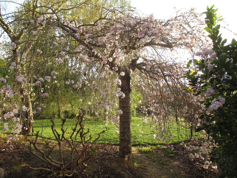 88 Vasse Highway, Nannup WA 6275