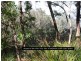 32 Johnston Road, Nannup WA 6275