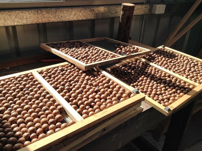 9 Denny Road, Nannup WA 6275