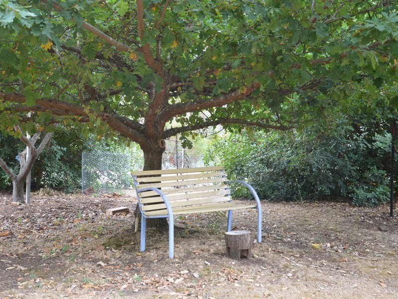 9 Denny Road, Nannup WA 6275