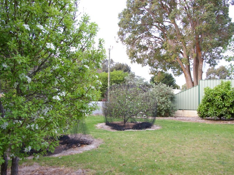 5 Kearney Street, Nannup WA 6275