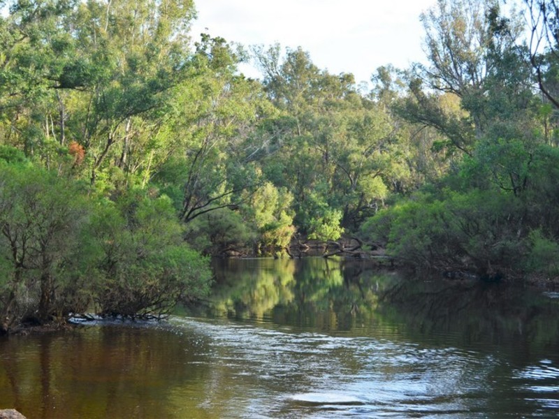 12 Orchid Place, Nannup WA 6275