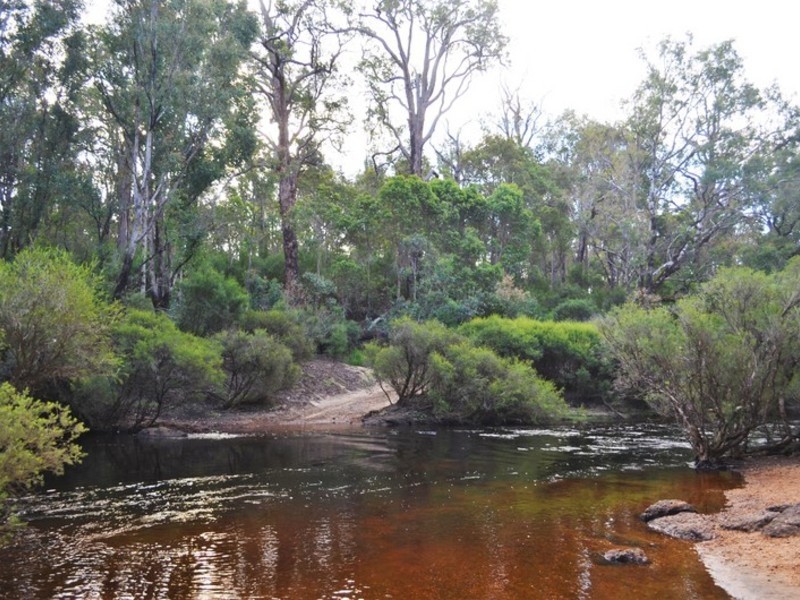 12 Orchid Place, Nannup WA 6275