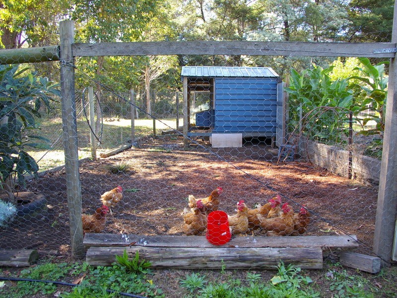 3 Chalwell Road, Nannup WA 6275