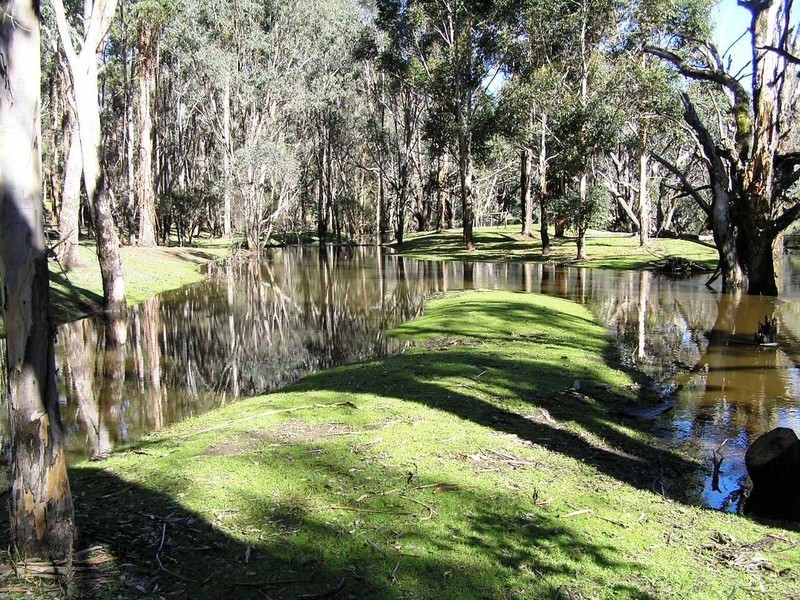 1/7 Balingup Road, Nannup WA 6275