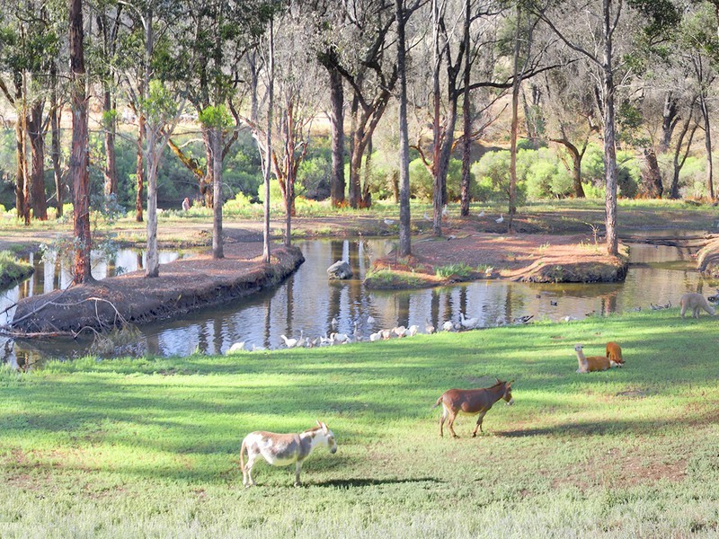 1/7 Balingup Road, Nannup WA 6275