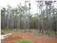 Nannup WA 6275