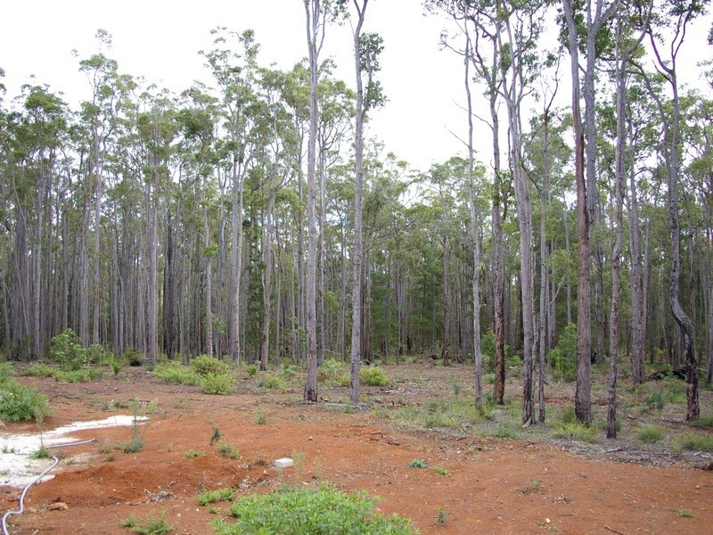 Nannup WA 6275