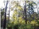 11189 Mount Lewin Loop Road, Nannup WA 6275