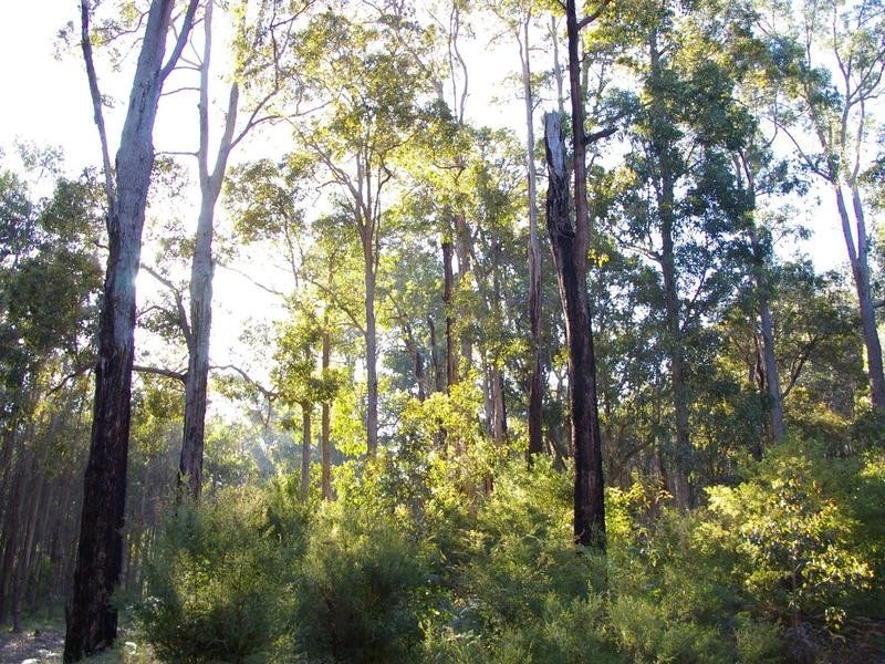 11189 Mount Lewin Loop Road, Nannup WA 6275