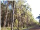 11189 Mount Lewin Loop Road, Nannup WA 6275