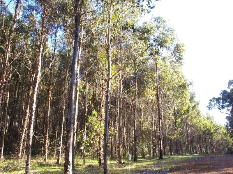 11189 Mount Lewin Loop Road, Nannup WA 6275