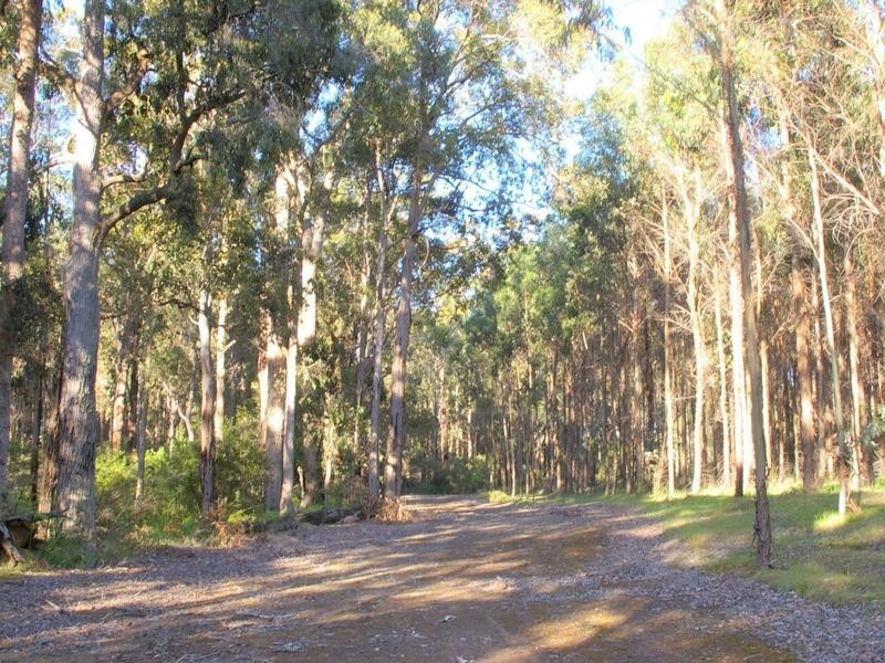 11189 Mount Lewin Loop Road, Nannup WA 6275