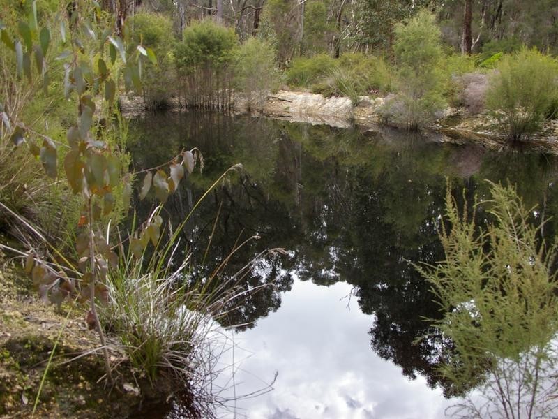 11215 Mount Lewin Loop Road, Nannup WA 6275
