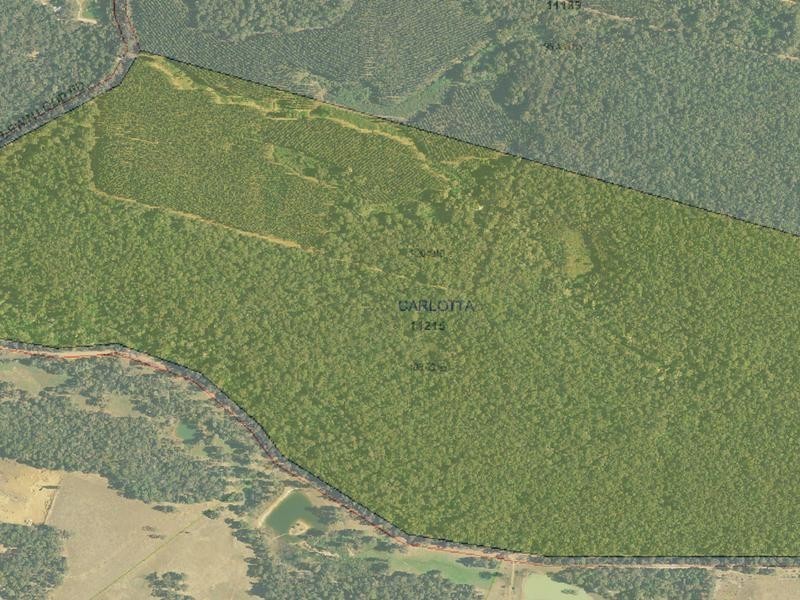 11215 Mount Lewin Loop Road, Nannup WA 6275