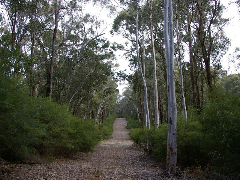 11215 Mount Lewin Loop Road, Nannup WA 6275