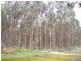 11215 Mount Lewin Loop Road, Nannup WA 6275