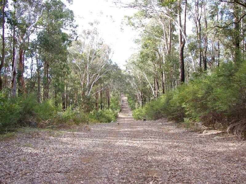 11215 Mount Lewin Loop Road, Nannup WA 6275