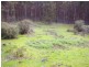11215 Mount Lewin Loop Road, Nannup WA 6275
