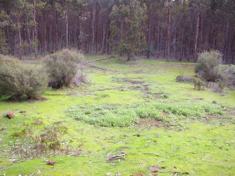 11215 Mount Lewin Loop Road, Nannup WA 6275